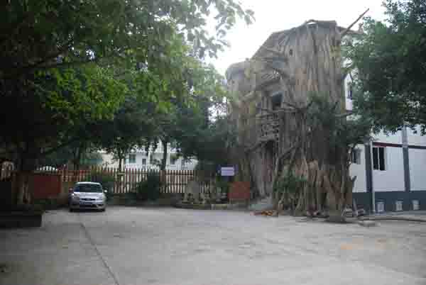 ����һ��